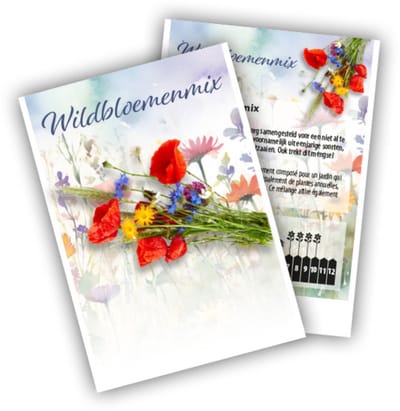 Wildbloemen mengsel - Special mix - Klimplant - bloeit in Juni / Juli / Augustus / September