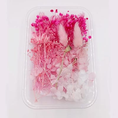 Gedroogde Bloemen - Echte Bloemen Decoratie - Hobby Knutselen - Natuurlijke Kleuren - Opbergdoos 17cm - Roze Serie