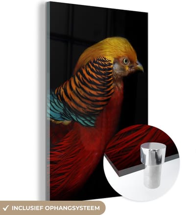 MuchoWow® Glasschilderij 120x180 cm - Schilderij acrylglas - Vogel - Veren - Zwart - Portret - Foto op glas - Schilderijen