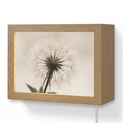 Wandlamp 20x15 cm - Oplaadbaar - Paardenbloem - Minimalistisch - Wit - Wandlampen binnen woonkamer - Slaapkamer lamp met kabel - Decoratieve nachtlamp - Vloerlamp snoer