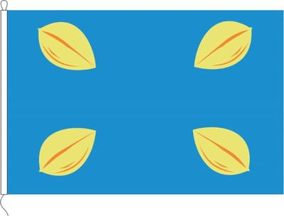 Vlag van Hilversum 100 x 150cm