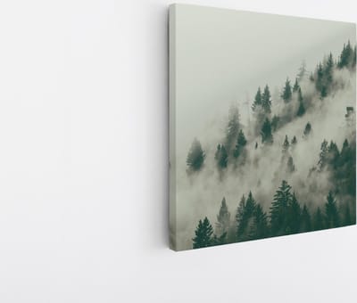 Saammp Canvas Schilderij - Mist tussen de bomen - Landschap - Natuur - 20x20 - Foto op canvas - Wanddecoratie - Muurdecoratie Woonkamer - Slaapkamer decoratie - Canvas Print