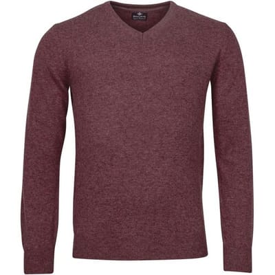 Baileys Trui V-Neck Uni Color Lambswool Cerise / male