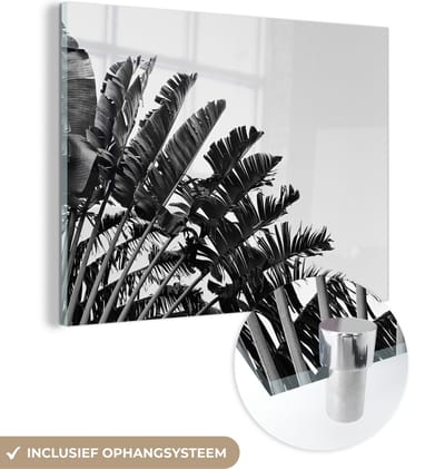 MuchoWow® Glasschilderij 160x120 cm - Schilderij acrylglas - Palmblad - Tropisch - Zomer - Foto op glas - Schilderijen