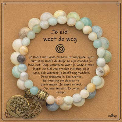 Bixorp Zweedse Amazoniet Armbanden Set op Cadeau kaartje - Je ziel weet de weg - 18cm Edelsteen Kralenarmband - Inclusief Cadeau Envelop