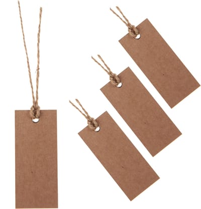 Santex cadeaulabels kraft met lintje - set 48x stuks - bruin - 3 x 7 cm - naam tags