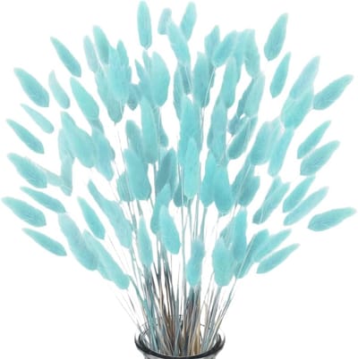 Dailygoods- Pampasgras 60 Stuks - Gedroogde Bloemen - Decoratie - Bruiloft - Interieur - Natuurlijke Kleur - Totale Lengte 40-45 cm - Droogbloemen