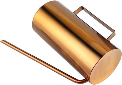 RVS Gieter - Waterpot Plantenirrigatie - Planten Water Geven - Lange Nauwkeurige Uitloop - 15L - Goud