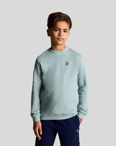 Lyle & Scott Crew Neck Sweatshirt Boys Truien & Vesten Jongens - Sweater - Hoodie - Vest- Lichtgrijs - Maat 128/134