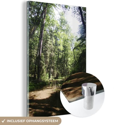 ® Glasschilderij 120x180 cm - Schilderij acrylglas - Zandweg in bossen in het Nationaal Park Roztocze in Polen - Foto op glas - Muurdecoratie woonkamer - Wanddecoratie slaapkamer - Schilderijen