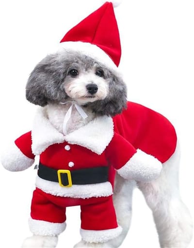 Kerstkostuum voor Huisdieren - Santa Pak voor Honden en Katten, Feestelijke Cosplay Outfit