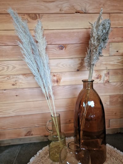 Bundel Pampas Gras crème - 115 cm - Pampasgras – Pampas Pluimen - Droog Boeket - Beige - Natural