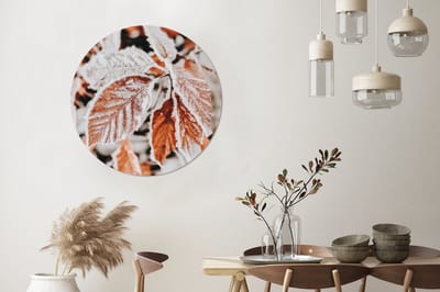 WallCircle - Wandcirkel - Muurcirkel - Bladeren - IJs - Winter - Natuur - Aluminium - Dibond - 90x90 cm - Binnen en Buiten