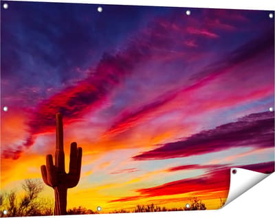 Gards Tuinposter Cactus bij Oranje Zonsondergang - 120x80 cm - Tuindoek - Tuindecoratie - Wanddecoratie buiten - Tuinschilderij