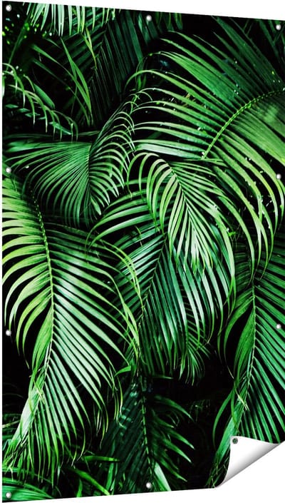 Gards Tuinposter Tropische Palm Bladeren - Groen - 100x150 cm - Tuindoek - Tuindecoratie - Wanddecoratie buiten - Tuinschilderij