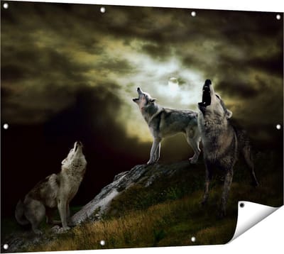 Gards Tuinposter Drie Huilende Wolven tijdens Volle Maan - 120x90 cm - Tuindoek - Tuindecoratie - Wanddecoratie buiten - Tuinschilderij