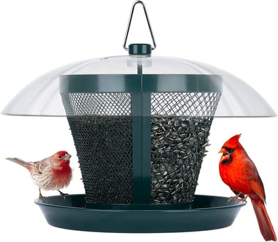 Vogelvoeder voor buiten - Anti-eekhoorn Voederbak voor Wilde Vogels met Weerbestendige Koepel en Dubbele Voeders, 2,5 lb Zaadcapaciteit