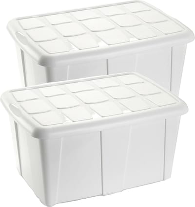 Plasticforte Opbergbox met deksel - 2x - Wit - 60L - kunststof - 63 x 46 x 32 cm