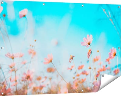 Gards Tuinposter Paarse Kosmos Bloemen - 120x80 cm - Tuindoek - Tuindecoratie - Wanddecoratie buiten - Tuinschilderij