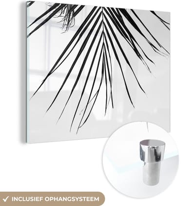 MuchoWow® Glasschilderij 160x120 cm - Schilderij acrylglas - Palm - Zomer - Bladeren - Tropical - Foto op glas - Schilderijen