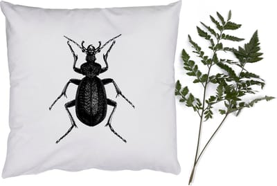 Sierkussens - Kussentjes Woonkamer - 40x40 cm - Zwart wit - Kever - Vintage - Insecten