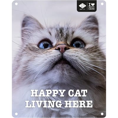 I Love Happy Cats - Anneleen Bru - I Love Happy Cats Bord 'living Here' 20x25cm Meerkleurig - 174203