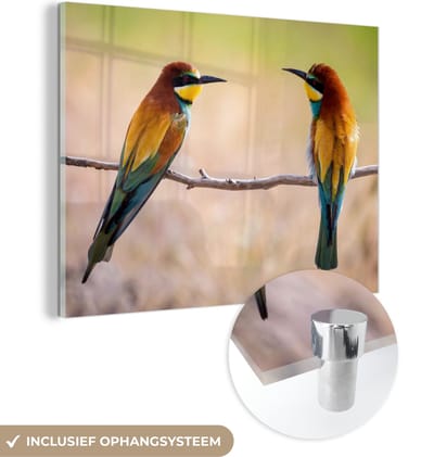 MuchoWow® Glasschilderij 40x30 cm - Schilderij acrylglas - Vogels - Bijeneter - Dieren - Foto op glas - Schilderijen