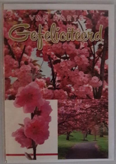 Van harte gefeliciteerd met je verjaardag! Een kleurrijke kaart met mooie bloemen in de boom boven een wandelpad. Een leuk pad om te bewandelen. Een dubbele wenskaart inclusief envelop en in folie verpakt.