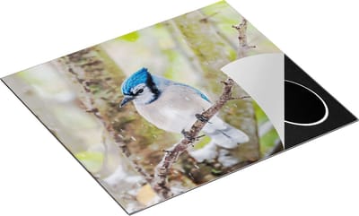 Chefcare Inductie Beschermer Blauwe Gaai Vogel in de Sneeuw - 60x50 cm - Afdekplaat Inductie - Kookplaat Beschermer - Inductie Mat