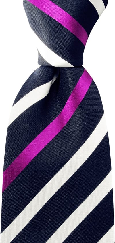 We Love Ties - Stropdassen - Stropdas Boy Next Door - marineblauw / wit /roze