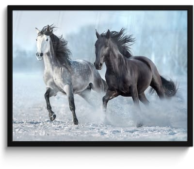 Poster in lijst - Fotolijst 70x50 cm - Posters - Paarden - Winter - Dieren - Natuur - Sneeuw - Posterlijst zwart - Decoratie - Wanddecoratie woonkamer - Muurdecoratie slaapkamer
