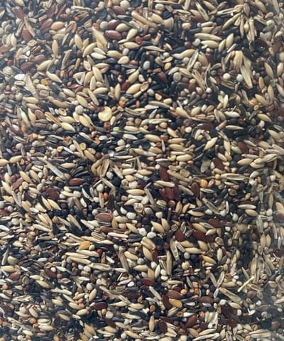 Jan Koenings Putters en Sijzenvoer nr. 3 - 2,5 kilo - Overige zaden - Vogelzaad - Vogelvoer - Kapoetsensijs (Carduelis cucullata)