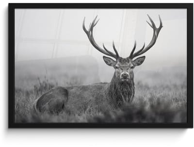 Poster in lijst - Fotolijst 60x40 cm - Posters - Hert - Mistig - Zwart - Wit - Posterlijst zwart - Decoratie - Wanddecoratie woonkamer - Muurdecoratie slaapkamer