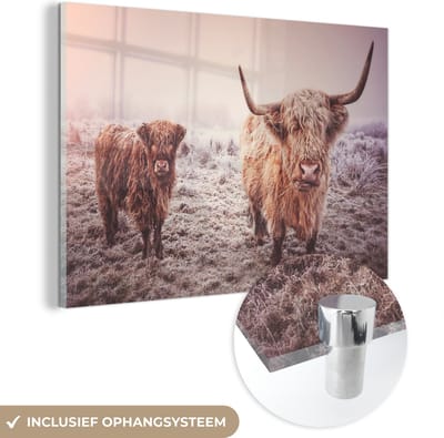 MuchoWow® Glasschilderij 150x100 cm - Schilderij acrylglas - Schotse Hooglanders - Sneeuw - Zon - Foto op glas - Schilderijen