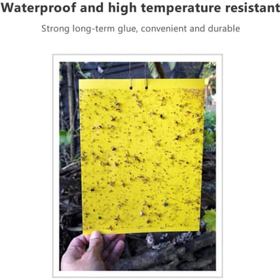 Pièges collants pour insectes volants des plantes, moucherons fongiques 20 pièces 20*25cm Pièges double face pour insectes volants peuvent être coupés yellow-20X10cm