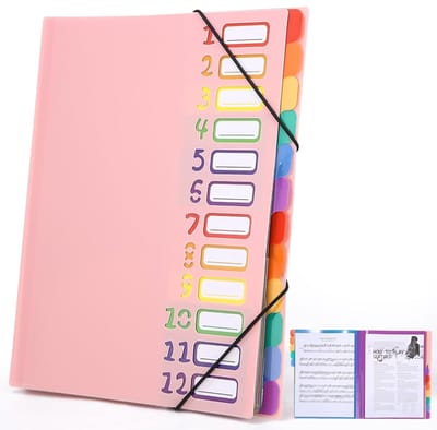 Uitbreidbare maporganizer met vakjes - Accordeonmap - Bestandsorganizer - A4-formaat - Regenbooglabels - Geschikt voor thuis, kantoor en school - Roze
