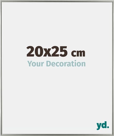 Your Decoration - Fotolijst 20x25 cm - Kunststof - Champagne - Evry