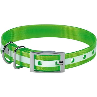 Fosforescerende hondenhalsband Stepland
