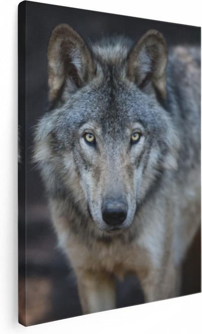 Artaza Canvas Schilderij Dierenkop Wolf - 30x40 cm - Klein - Wanddecoratie Woonkamer - Muurdecoratie Dieren - Kamer Accessoires