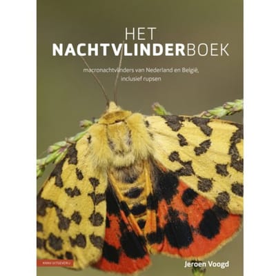 Het Nachtvlinderboek - Jeroen Voogd