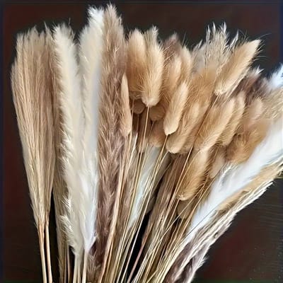 Boeket van 200 Stuks Gedroogde Grassen Bloemen, Konijnenstaart 43.18 cm - Natuurlijke Pluizige Pampasgras voor Bruiloft en Thuisdecoratie Feesttafel (Klassiek)