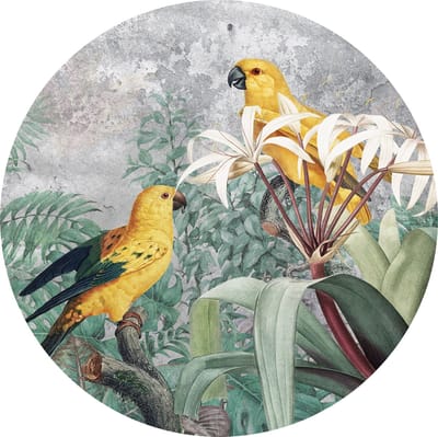 Tizato - Muurcirkel Jungle Papegaaien – Zelfklevende wandcirkel Muursticker – Ø 91 cm