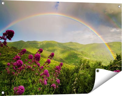 Gards Tuinposter Regenboog in de Heuvel Bossen - 90x60 cm - Tuindoek - Tuindecoratie - Wanddecoratie buiten - Tuinschilderij
