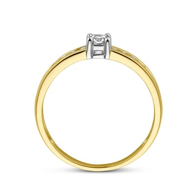 Ring Zirkonia