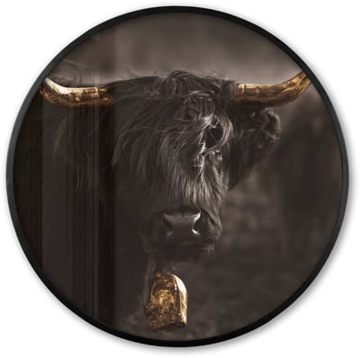 Poster in lijst Rond - Fotolijst 60x60 cm - Posters - Schotse hooglander - Goud - Koebel - Hoorns - Dieren - Ronde posterlijst zwart - Decoratie - Wanddecoratie woonkamer - Muurdecoratie slaapkamer