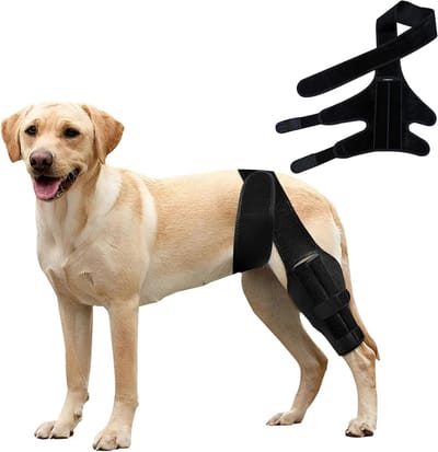 Hond knieorthese voor gescheurde kruisband en patella luxatie, verstelbare ondersteuning voor achter- en voorpoten, stabilisatoren voor honden