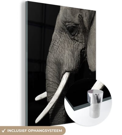 MuchoWow® Glasschilderij 30x40 cm - Schilderij acrylglas - Olifant - Dier - Slagtand - Foto op glas - Schilderijen