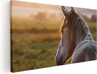 Artaza Canvas Schilderij Paard - 40x20 cm - Klein - Wanddecoratie Dieren - Muurdecoratie Zonsondergang - Schilderijen Op Canvas
