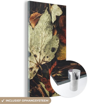 MuchoWow® Glasschilderij 20x40 cm - Schilderij acrylglas - Herfstbladeren - Herfst - Seizoenen - Natuur - Foto op glas - Schilderijen