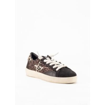 CETTI C1342SRA INV27 Bruin 36 EU